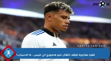 قفزة مفاجئة توقف انتقال نجم هامبورج إلى لنيس.. ما الأسباب؟